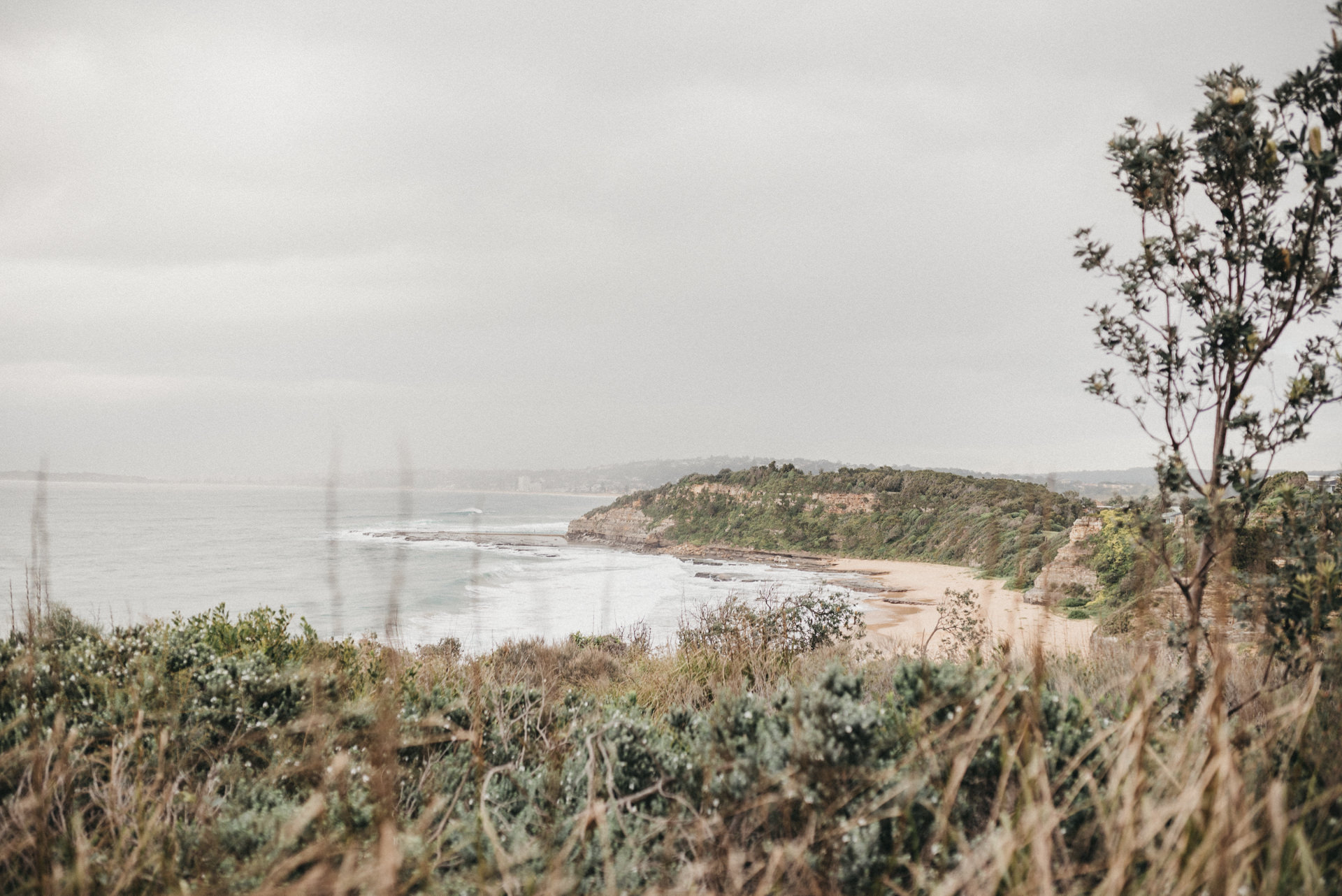 elopement sydney