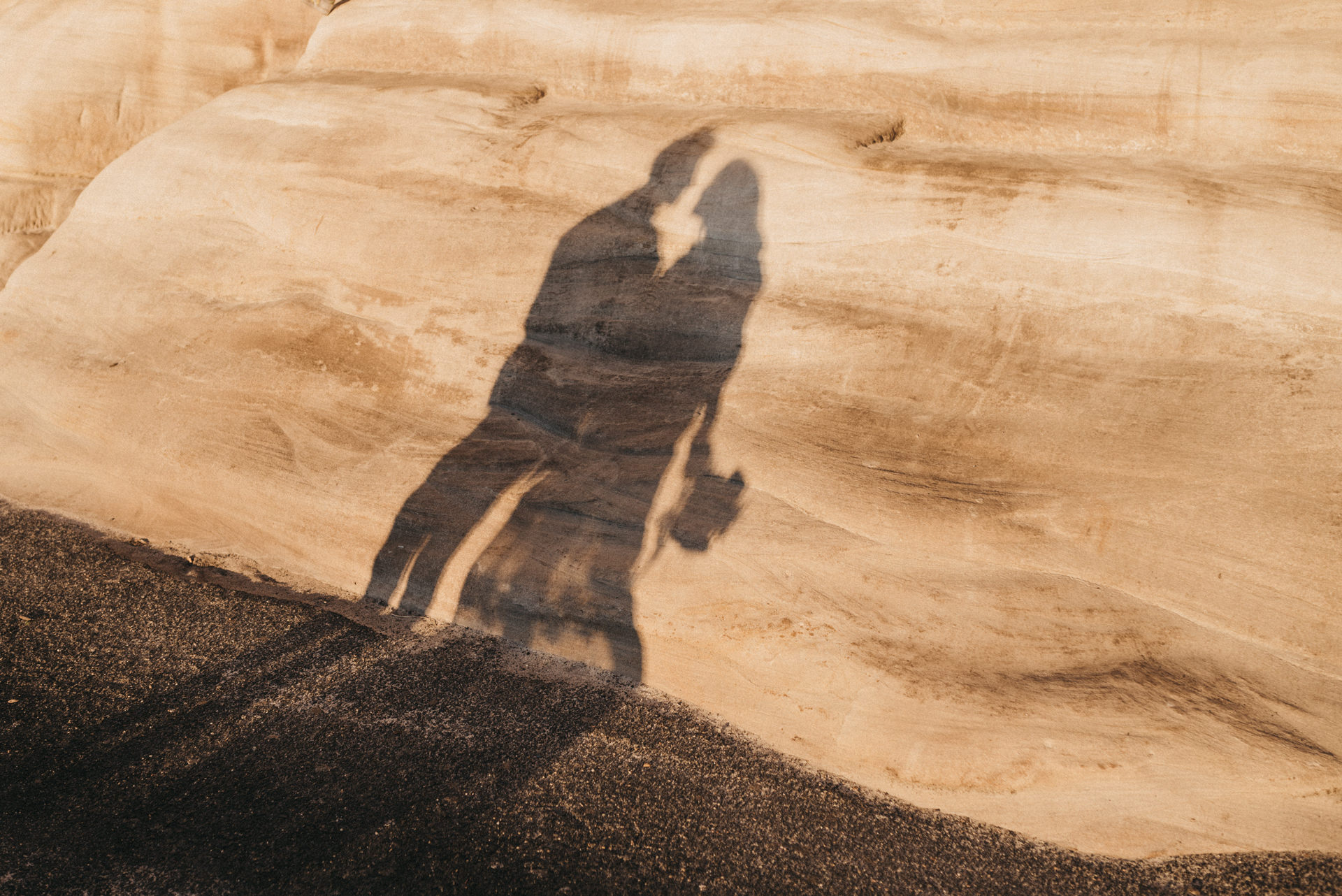 royal botanical garden engagement session